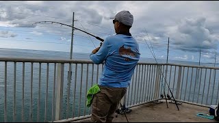 Worlds BEST Fishing Spot Florida Keys Bridge Fishing [upl. by Trik293]