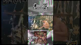 CEPHALOTRIPSY LIVE AT SPLATTER PIT 3 slammingdeathmetal brutaldeathmetal brutalmind splatterpit [upl. by Eemyaj780]