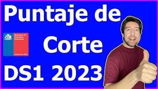 Subsidio ds1 2023 🥇 RESULTADOS primer llamado [upl. by Latihs]