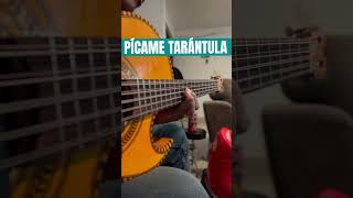 Pícame Tarántula versión Jorge Loayzat bajo quinto  Alan Rentería [upl. by Illac]