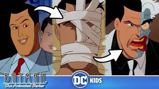 ORIGINS of Batmans Super Villains Part 1  Batman The Animated Series  dckids [upl. by Cohen]