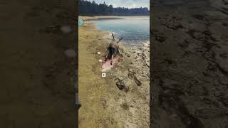 Weirdest Buck Ive Seen In A Long Time theHunter Call of the Wild [upl. by Yseulte365]