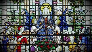 The Litany of the Blessed Virgin Mary  Litany of Loreto in Latin [upl. by Hcir644]