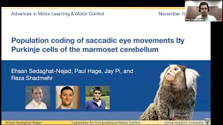 Ehsan SedaghatNejad Population coding of saccadic eye movements by Purkinje cells 111220 [upl. by Schulz414]