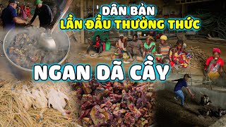 Quanglinhvlogs  quotNgan Giả Cầyquot Người Dân Bản Lần Đầu Được Thưởng Thức Và Cảm Nhận [upl. by Neirrad]