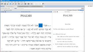 Accordance Basics for Hebrew [upl. by Mcintosh664]