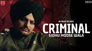 Criminal Sidhu moose wala New Song [upl. by Ahsita843]