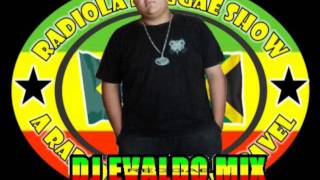 MELO DO VOADOR 2011 DJ EVALDO MIX [upl. by Ahsilef967]