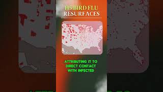 H5 Bird Flu Strikes in Canada What You Need to Know [upl. by Eiznekcm]