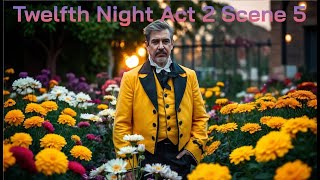 Twelfth Night  Act 2 Scene 5  Analysis and Discussion Scene by Scene [upl. by Lamson]