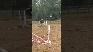 HER KNEES 😍 youtubeshorts equestrain horse [upl. by Juliano]