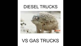 Diesel trucks vs gas [upl. by Ayoral]