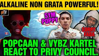 Alkalines Surprising Move Vybz Kartels Premature Celebration Popcaan And Spice React On Ig [upl. by Ecad]