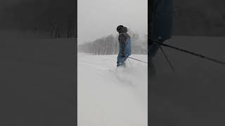 2025 Powder Ski Comparison Teaser with SkiEssentialscom [upl. by Doti]