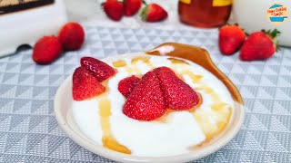 How to Make Yogurt at Home [upl. by Alleen]