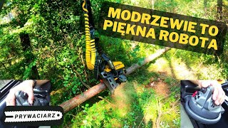 Dalej męczymy biedne modrzewie🌲Operator Harwestera🌲Ponsse Ergo🌲Prywaciarz🌲 [upl. by Naitsabas]