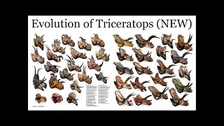 Ceratopsian family tree [upl. by Nosnevets]