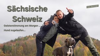 V37 Sächsische Schweiz youtube vlog Autark mit Wohnmobil amp Hund zwischen Pirna amp Bad Schandau [upl. by Coltson23]