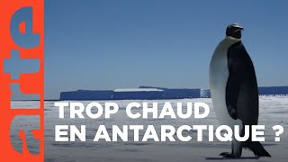 Panique en Antarctique  ARTE Décryptage [upl. by Lubow]