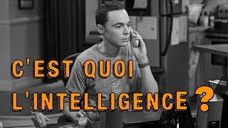 Intelligence 01  Définition  cest quoi lintelligence   LES MINISODES [upl. by Karola]