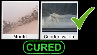 Cure Condensation and Stop Mould  Free [upl. by Lennaj]