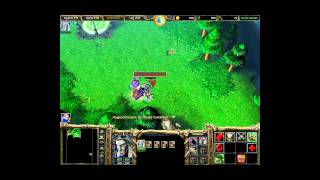 Lets Play Warcraft III Deutsch Teil 20 quotIns Elfenlandquot [upl. by Seuqirdor]