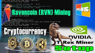 Cryptocurrency Mining  TRex Miner Setup  Ravencoin  RVN [upl. by Miyasawa]