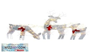 Set of 3 Lighted Christmas 2D Reindeers Outdoor Decorations PreLit Light Review [upl. by Anwahsit]