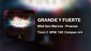 Grande y Fuerte  Miel San Marcos 🎧 Multitrack [upl. by Artenahs768]