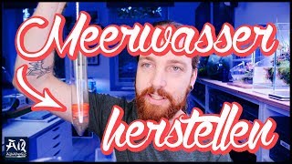 Meerwasser richtig herstellen für Aquarium  AquaOwner [upl. by Accber814]