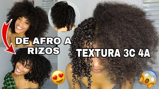 COMO DEFINIR EL CABELLO AFRO RIZADO TEXTURA 3C 4A  DEFINICIÓN DE RIZOS EN AFRO 😱 Rachell Santos [upl. by Faina]