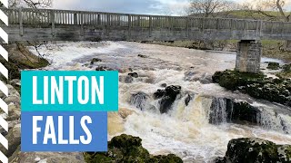 Linton Falls Grassington  Yorkshire Dales National Park Walks  The Dales Way  Exploring the North [upl. by Gardas328]