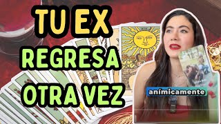 SALTA EL ESCÁNDALO‼️ TU EX💔es descubierto haciéndolo otra vez no sabe donde meterse ‼️ [upl. by Anolahs]