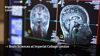 Brain Sciences research at Imperial College London [upl. by Sufur837]