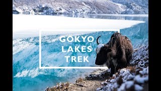 Gokyo Lakes Trek with my 62yearold mother [upl. by Cronin587]