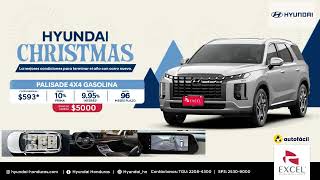 Christmas Hyundai [upl. by Gradeigh520]