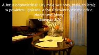 Świadkowie jehowyreligiasekta czy firma [upl. by Sairtemed]