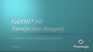 FuGENE® HD Transfection Reagent Video [upl. by Naget]