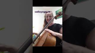 Vibrato Vibes 5 of 14 for adult cellists [upl. by Demahom420]