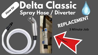 How to replace a Delta Classic Kitchen sink Spray Hose in 3 minutes EASY DIY [upl. by Mellen]