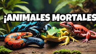 Los 5 Animales Más Venenosos del Planeta [upl. by Conlon]