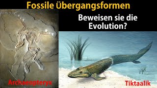 Fossilien als Übergangsformen Brückentiere [upl. by Eliott557]