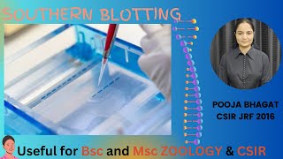 Southern blotting DNA blotting [upl. by Casabonne]