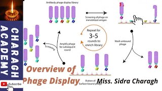 Phage Display  an overview  How does phage display technology work✍✍ [upl. by Aitnecserc454]