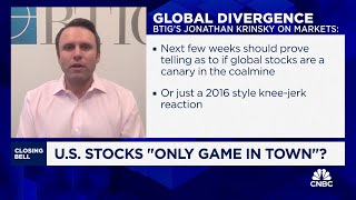 US stocks seem to be only game in town right now says BTIGs Jonathan Krinksy [upl. by Friend]