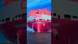 कंटेनर जहाज में क्या क्या समान जाता है । 🚢⚓MSC ENTRY IN LAST shipping shorts subscribe 1000subs [upl. by Hgieleak]