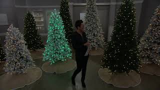 Santas Best Frasier Fir 201Function LED Tree with Custom Colors on QVC [upl. by Ycram553]