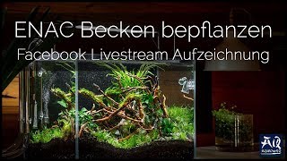 Bepflanzung meines Wettbewerbsaquariums  AquaOwner Live [upl. by Ennaeirrac]