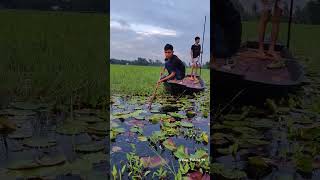 Best boat fishing flood water 😄fishing tetafishing villagelife [upl. by Alehtse748]