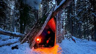 3 Days SOLO SURVIVAL in Winter Shelter  20° Camp in Bushcraft Cabin Build [upl. by Haye560]